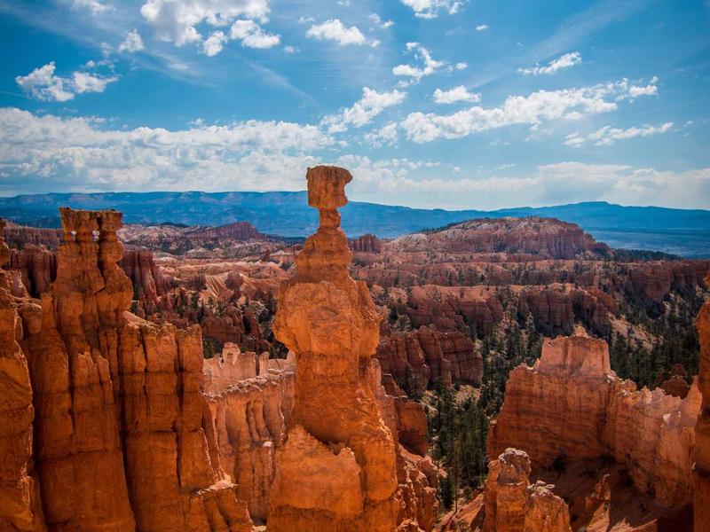 sudoku puzzle screenshot 6